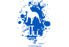 Pit bull - Respect the energy